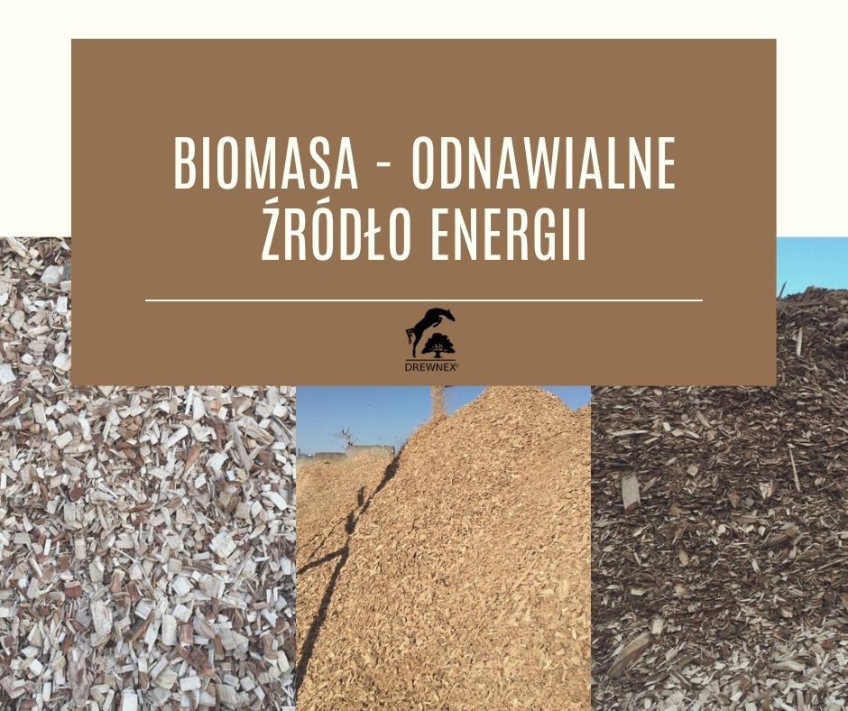 Biomasa- zrębki-trociny
