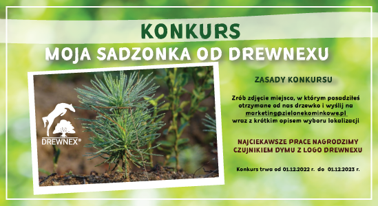 Sadzonka drzewka drewnex24.pl